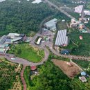 효돈동-2 이미지