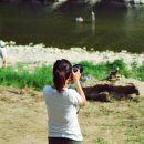 천등산 캠핑장 이미지