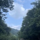 미리내펜션 | 강씨봉미리내펜션 계곡 펜션 커플룸 102호 내돈내산 후기