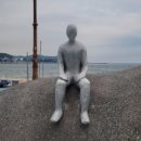 세파에 따르지 이미지