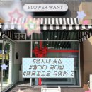 굳-플라워 | 명지대 꽃집 유명한 플라워원트 내돈내산 후기