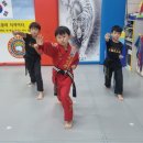 비연무예태권도 이미지