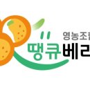 땡큐베리팜