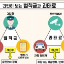 교통범칙금과 과태료의 차이 이미지