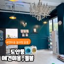 몽실몽실애견미용 이미지