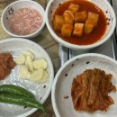 풍년순대 네이버블로그