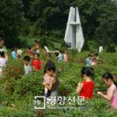 김영이농장 이미지