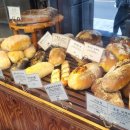 브레드창 이미지