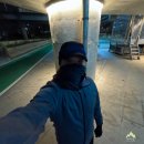 간선5 | 추운 겨울 달리기, 넥워머 효과는 굉장했다! 중랑천 5km 러닝 후기