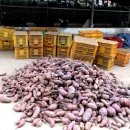 창조농장 이미지