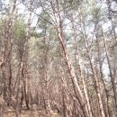 길주유소 이미지