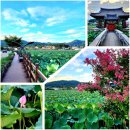 유등연지 둘레길 이미지