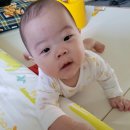 다은네일 | AMOS 글라스에 코펜 세트 구입 후기