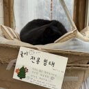 카페리;차지