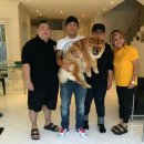 사비켄넬 이미지