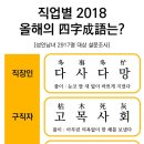 1000 이미지
