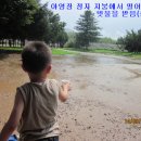 해평의원