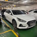 서귀포농업협동조합토평지점 | [제주 1] 퀸제누비아2로 자차 제주도행, 그리고 거친오름과 노루