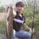 백호3호 이미지