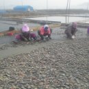 송화주식회사 이미지