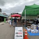 봉평메밀마당다대포점 | [봉평메밀꽃축제] 2024년 평창 효석문화제 당일치기 후기 (봉평오일장)