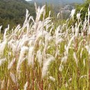 들녁의 하얀집 이미지