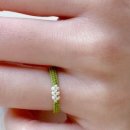 최고집석쇠불고기 이미지