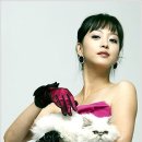 안나애견 이미지