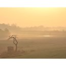 안성농장 이미지