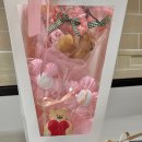 베이커리본 이미지