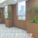 실내 조화 플랜테리어, 한양대학교 맞춤제작 인조 그린식물 장식연출!