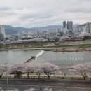 김해세무서 밀양지서 이미지