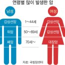 일상의고기 이미지