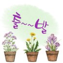 수성컴퍼니 이미지