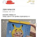 고양이 모자를 당근에 내놓은 이유 이미지