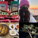 하평2길 | 여자 묵호 혼자여행 1박2일 뚜벅이 완벽 코스 추천 2일차! 동해 일출명소 생선구이 하평해변 책방균형 후기