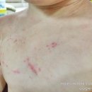 오복세탁 이미지