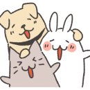 설렘고양이카페 이미지