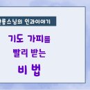 생명의 평등성..방생 이미지