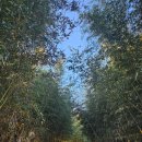 마산면사무소 이미지