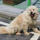 시미2리 이미지