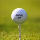 골프스토리 이미지