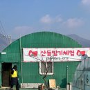 산들농장 | 양산 원동 산들딸기체험장 후기 꿀팁포함