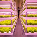 스마트팜 이미지