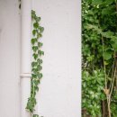 동욱민박 이미지