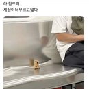 김밥사랑 이미지