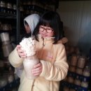 화원목장 이미지