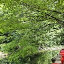 갯골산머루 민박 이미지