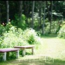죽화경 투어코리아