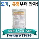 패스트 캅